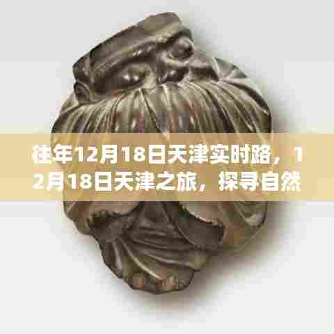 天津之旅,探寻自然美景,重拾内心的宁静与平和在往年12月18日的天津实时路体验