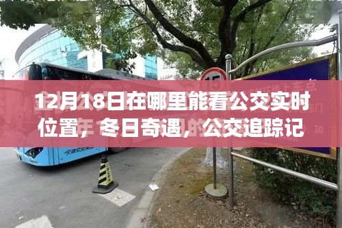 冬日暖心公交之旅,实时追踪与朋友共度时光