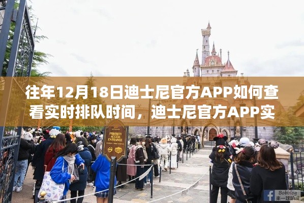 迪士尼官方APP实时排队时间查看指南与深度评测