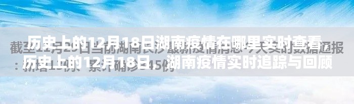 历史上的12月18日湖南疫情实时追踪与回顾,疫情数据深度剖析