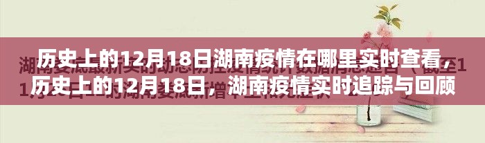 历史上的12月18日湖南疫情实时追踪与回顾,疫情数据深度剖析