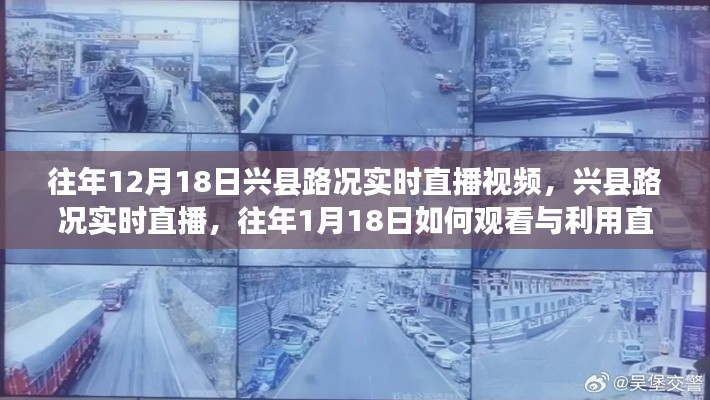 往年与当前日期兴县路况实时直播详解,如何观看与利用导航视频了解路况信息?