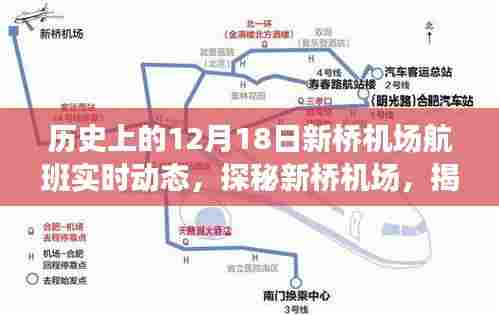 饭来张口 第5页