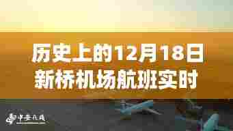 探秘新桥机场,历史航班实时动态与巷弄美食宝藏揭秘日(12月18日)