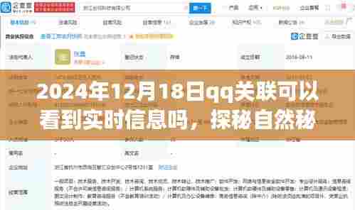 探秘自然秘境之旅,QQ关联能否实时传递旅行心情与日常信息?