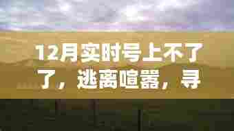 号上不了了引发奇妙旅行,寻找内心的宁静胜地