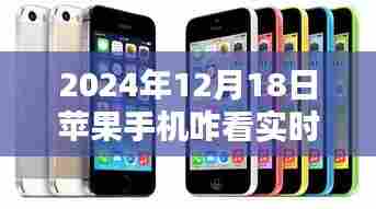 苹果手机查看实时流量的方法与技巧（适用于2024年）