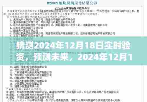 2024年12月18日实时验资展望,预测未来趋势