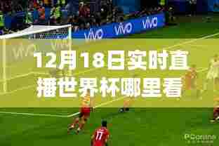 世界杯狂欢日,实时直播观看指南与探索自然美景之旅