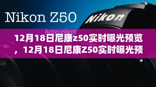 尼康Z50实时曝光预览，开启专业摄影新纪元