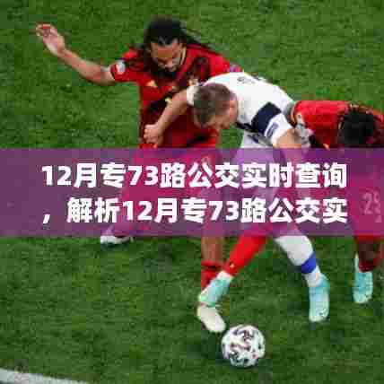 12月专73路公交实时查询，便捷与争议的交织