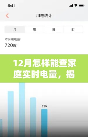 揭秘十二月家庭实时电量查询方法,洞悉电量消耗与时代意义影响
