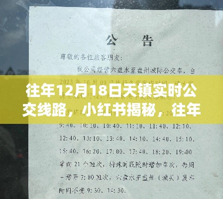小红书揭秘,往年12月18日天镇实时公交线路全攻略与实时动态🚌