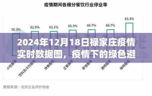禄家庄疫情实时数据图与绿色避风港的自然探索之旅