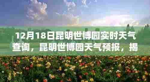 揭秘昆明世博园十二月十八日的天气奥秘,实时天气查询与天气预报