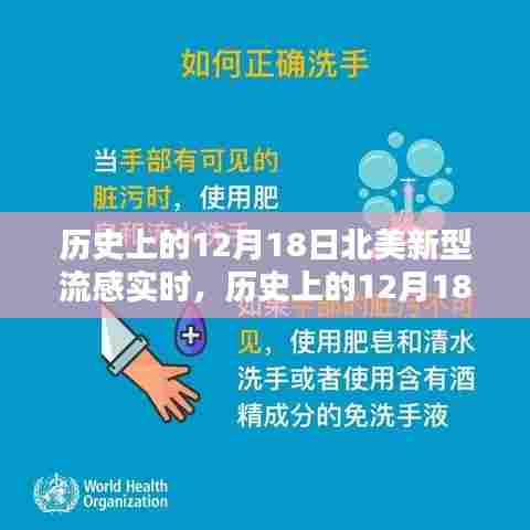 倦鸟知还 第4页