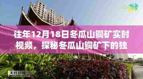 探秘冬瓜山铜矿下的隐藏特色小店,实时视频记录独特小巷故事