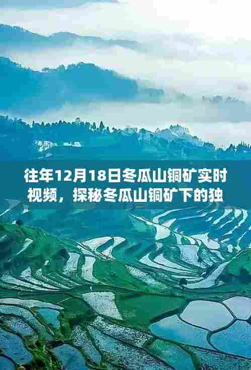 探秘冬瓜山铜矿下的隐藏特色小店,实时视频记录独特小巷故事