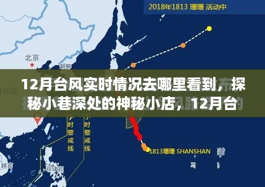 探秘神秘小店与台风追踪之旅,十二月台风实时动态解析