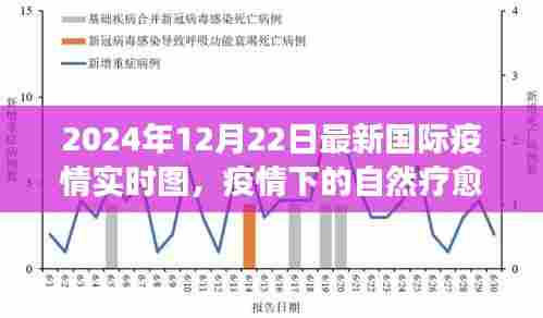 疫情下的自然疗愈与环球旅行之旅,国际疫情实时图下的心灵探索(2024年12月)