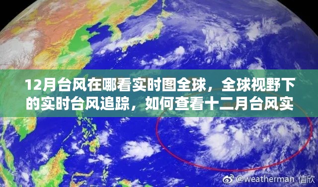 全球视野下的实时台风追踪,如何查看十二月台风实时图