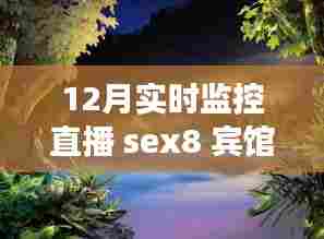 Sex8宾馆，探寻自然美景的奇妙旅行之旅，12月实时监控直播之旅
