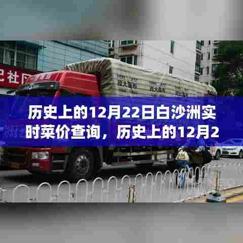 窥探菜篮子背后的时代印记，历史上的白沙洲菜价变迁与实时查询的12月22日菜价记录