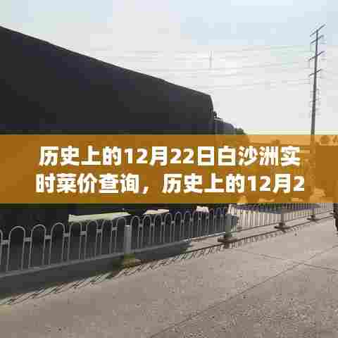 窥探菜篮子背后的时代印记,历史上的白沙洲菜价变迁与实时查询的12月22日菜价记录