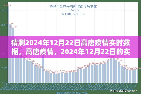 2024年12月22日高唐疫情实时数据预测及其深远影响分析