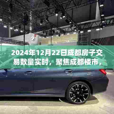 2024年12月22日成都房屋交易实时数据，深度解析楼市动态及其影响