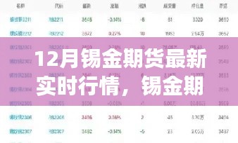 锡金期货实时行情动态,洞悉市场趋势,掌握最新动态揭秘
