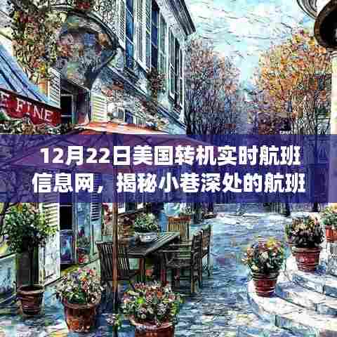 揭秘美国转机实时航班信息网，小巷深处的航班宝藏与隐藏秘密
