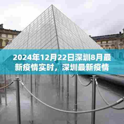 2024年12月22日深圳最新疫情实时动态及聚焦要点分析