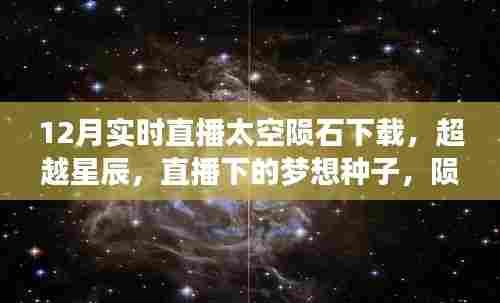 超越星辰，直播陨石下载之旅，梦想种子的成长蜕变