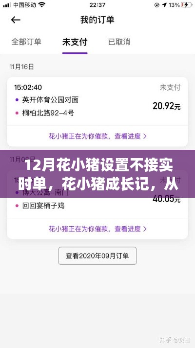 花小猪成长之路,从拒绝实时单到自信闪耀的蜕变之旅