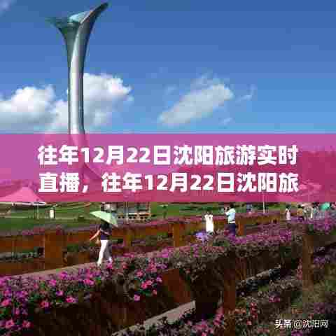沈阳旅游往年12月22日实时直播回顾与产品全面评测介绍