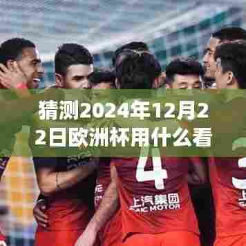 迎接梦想与现实碰撞的激情与智慧观赛体验,揭秘如何观看2024年欧洲杯实时比分。