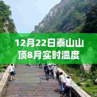 气候变迁下的观点碰撞，泰山山顶实时温度揭秘，8月与12月对比观察