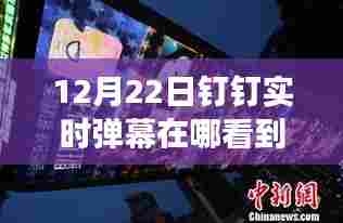 12月22日钉钉实时弹幕体验,自然美景与心灵之旅的启程之路