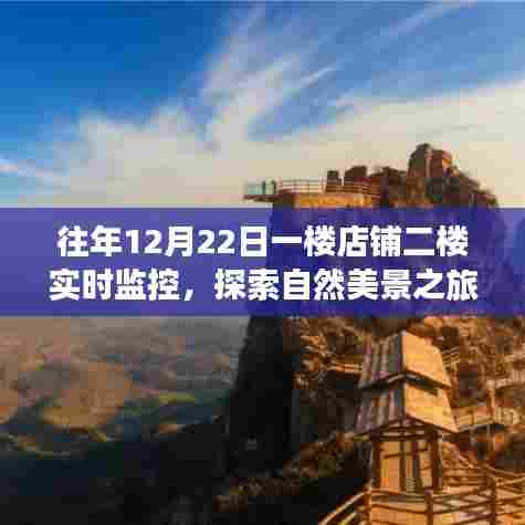 冬日暖阳下的奇妙发现,一楼店铺与二楼实时监控的自然美景探索之旅