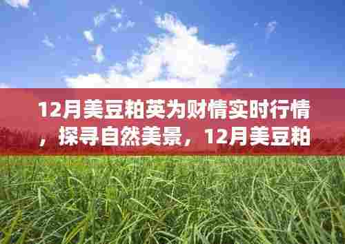 12月美豆粕英之旅，财情实时行情与自然美景的心灵宁静之旅