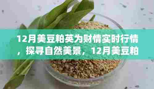 12月美豆粕英之旅,财情实时行情与自然美景的心灵宁静之旅