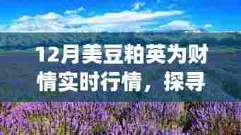 12月美豆粕英之旅,财情实时行情与自然美景的心灵宁静之旅