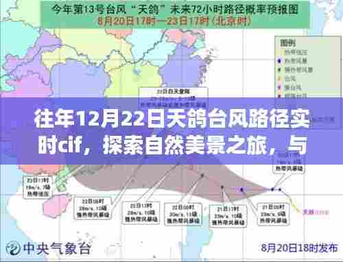 天鸽台风路径实时追踪，与自然共舞，寻找内心的宁静港湾