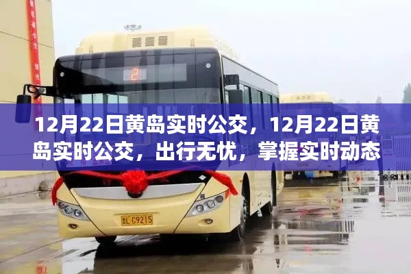 黄岛实时公交动态，出行无忧，掌握最新实时公交信息