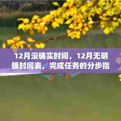 12月任务分步完成指南，无时间表，如何有序推进？