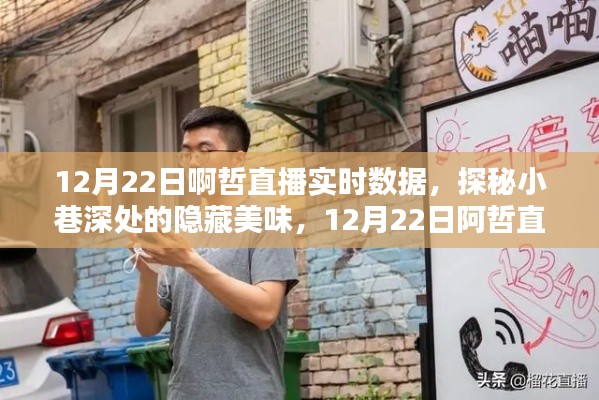 12月22日阿哲直播,探秘小巷美味,领略独特小店风采