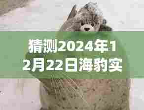 揭秘海豹实时订单查询系统,深度评测与订单查看新体验