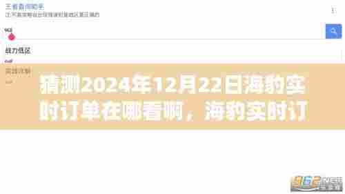揭秘海豹实时订单查询系统,深度评测与订单查看新体验