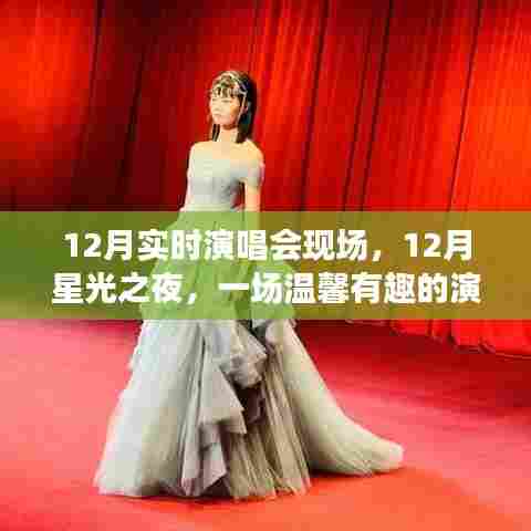 星光璀璨之夜，12月温馨趣味演唱会现场之旅